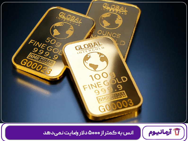 انس به کمتر از ۵۰۰۰ دلار رضایت نمی‌دهد!